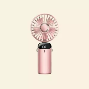 fan bd